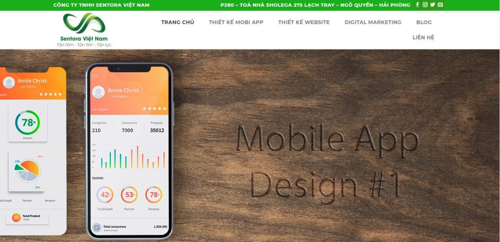 Công Ty Thiết Kế Website Sentora Việt Nam