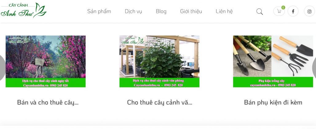 Công ty cho thuê đào chơi Tết Anh Thư