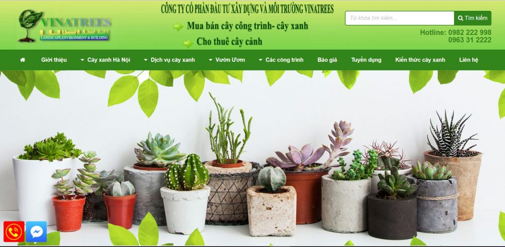 Công ty cho thuê đào chơi tết Vinatrees