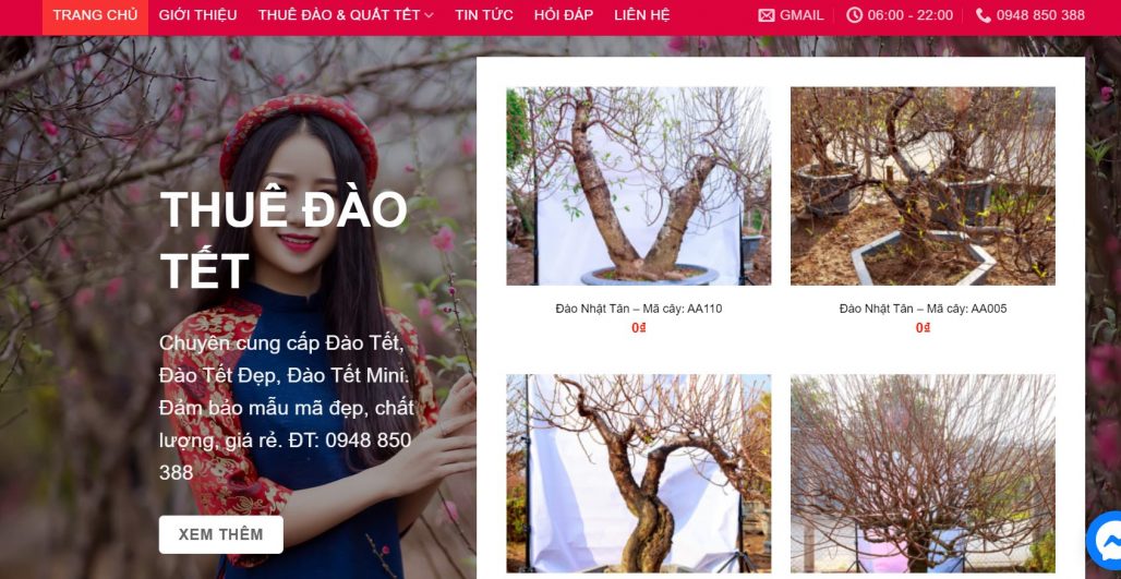 Công ty cho thuê đào chơi Tết Vườn đào miền Bắc