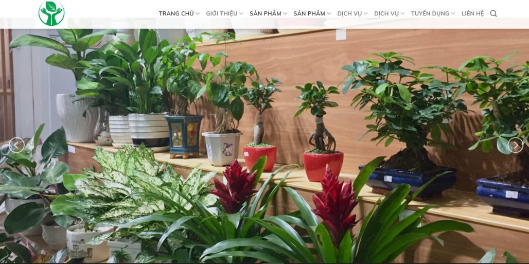 Công ty cho thuê đào chơi Tết Green Garden