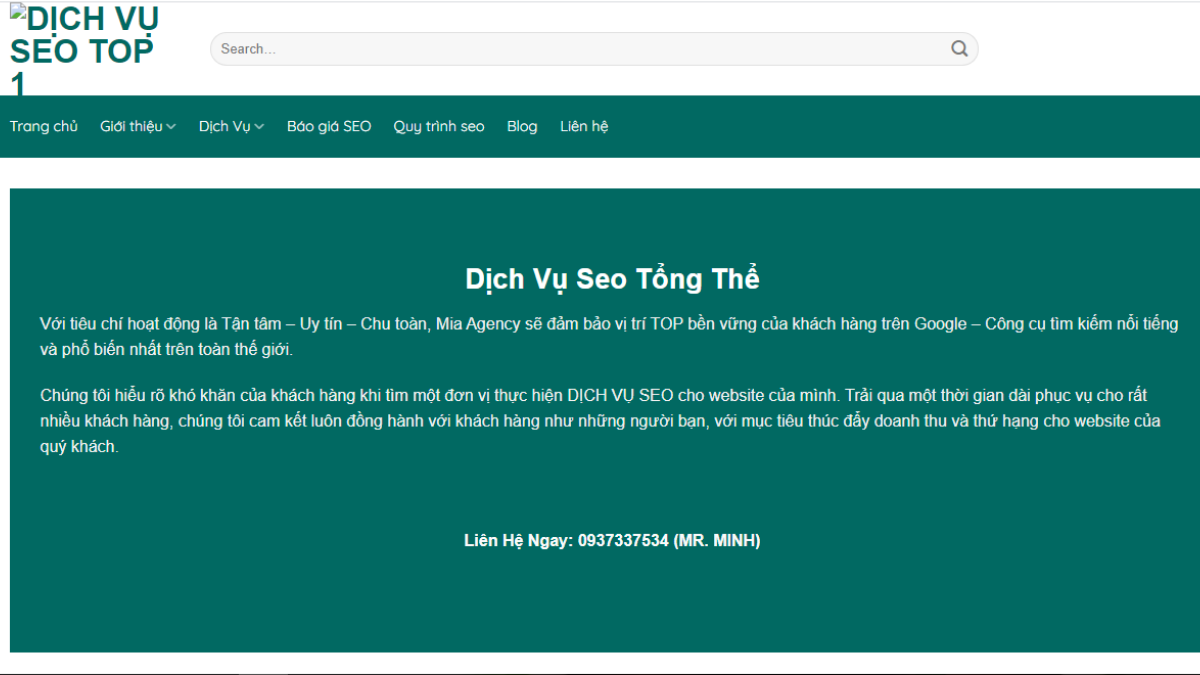 TOP 9 CÔNG TY DỊCH VỤ SEO UY TÍN TẠI VIỆT NAM 2021