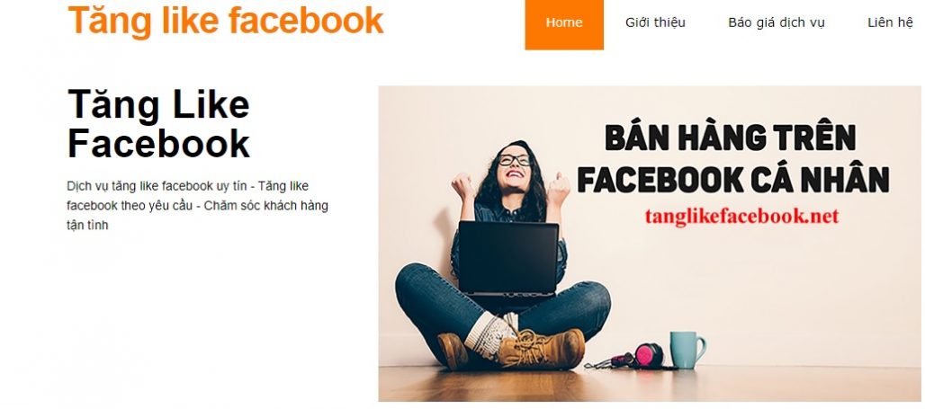 Dịch vụ tăng like Facebook.net