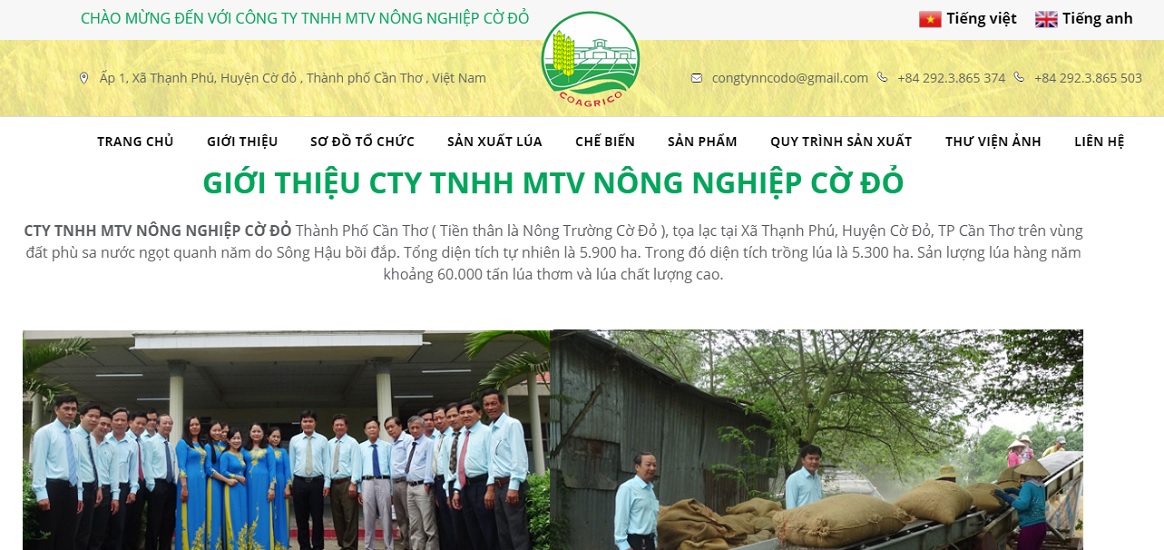 Công ty xuất nhập khẩu nông sản Cờ Đỏ.