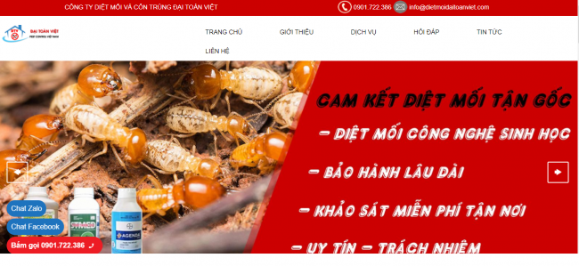 Công ty diệt mối Đại Toàn Việt